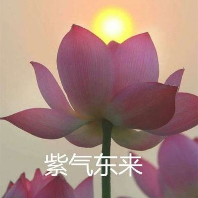 出轨的证据无限钻石版下载